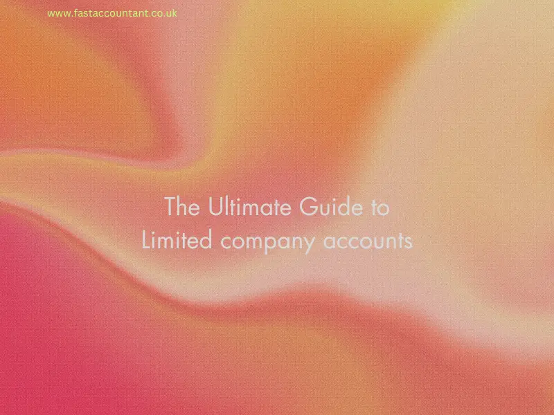 Limited company accounts