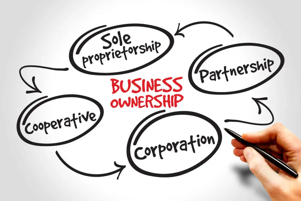 What is a business entity