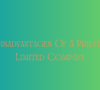 Disadvantages Of A Private Limited Company